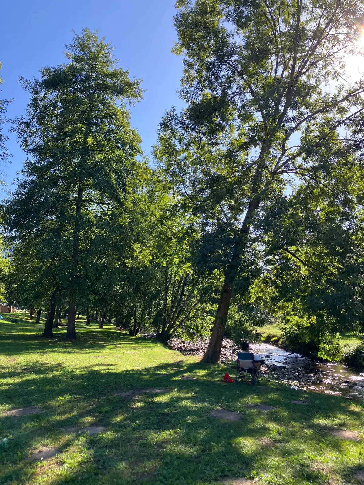 Espace ombragé au bord du ruisseau