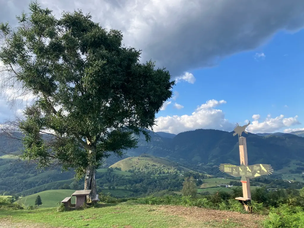 Grand arbre et sculpture de vautour sur la crête