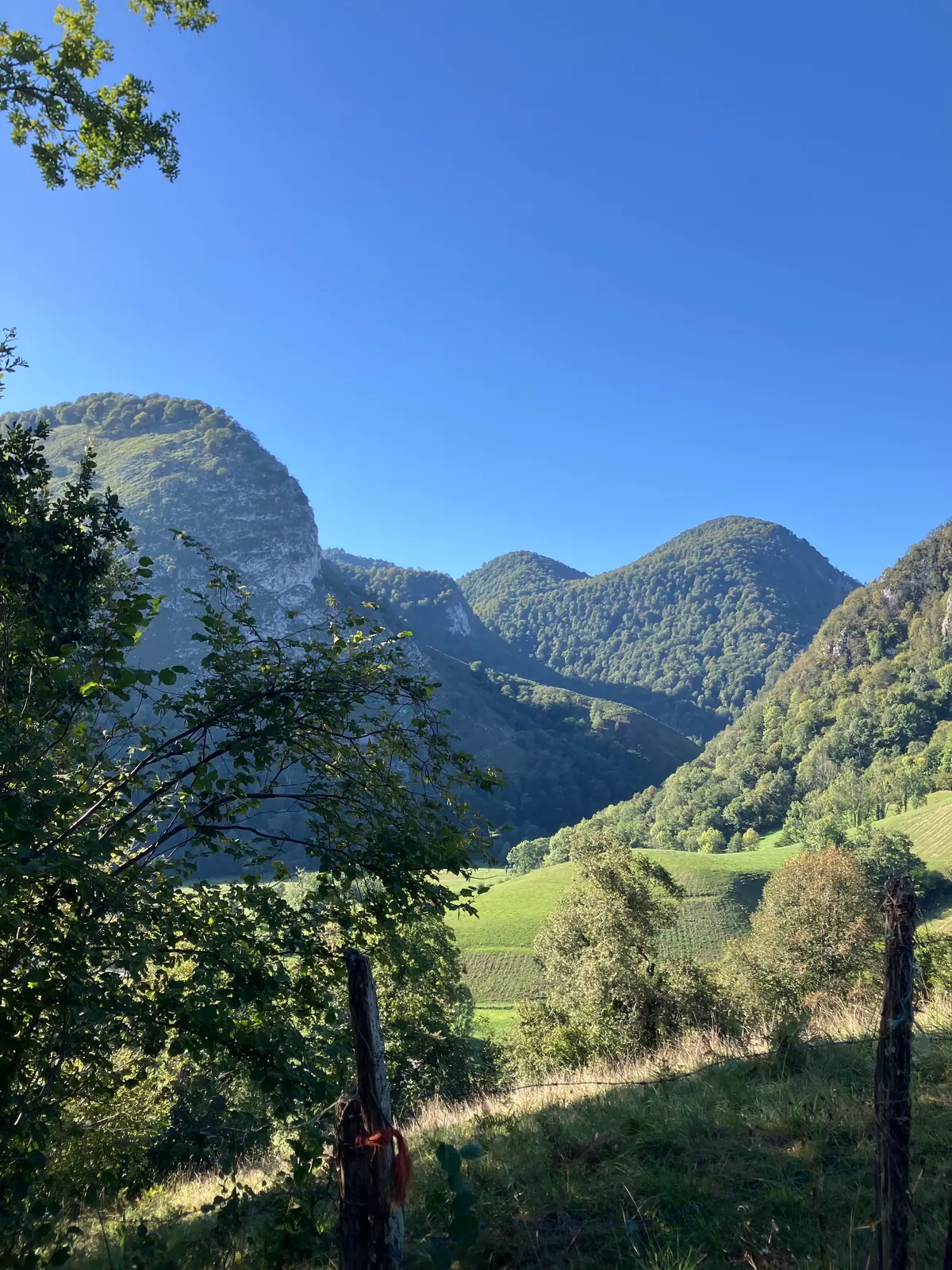 Vallée encaissée entre les falaises