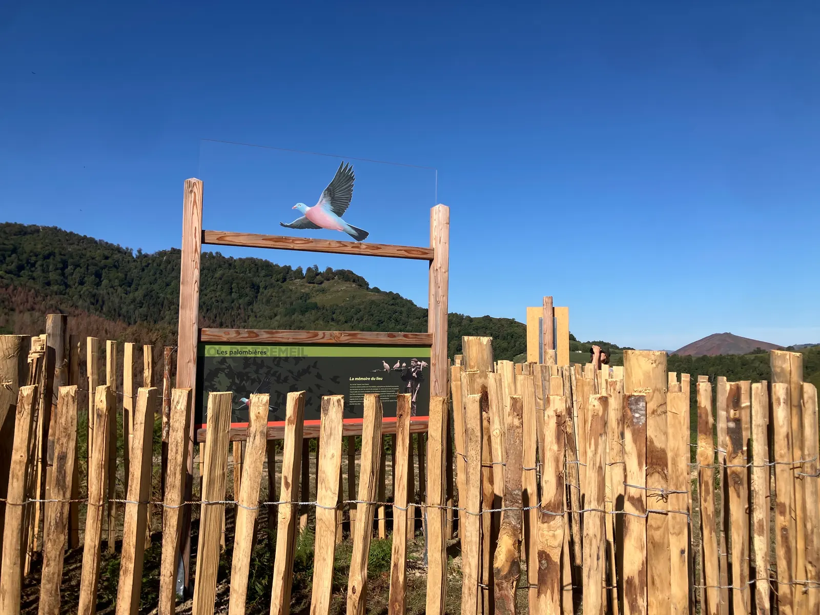 Palissade en bois surmontée d'une silhouette de palombe, au col