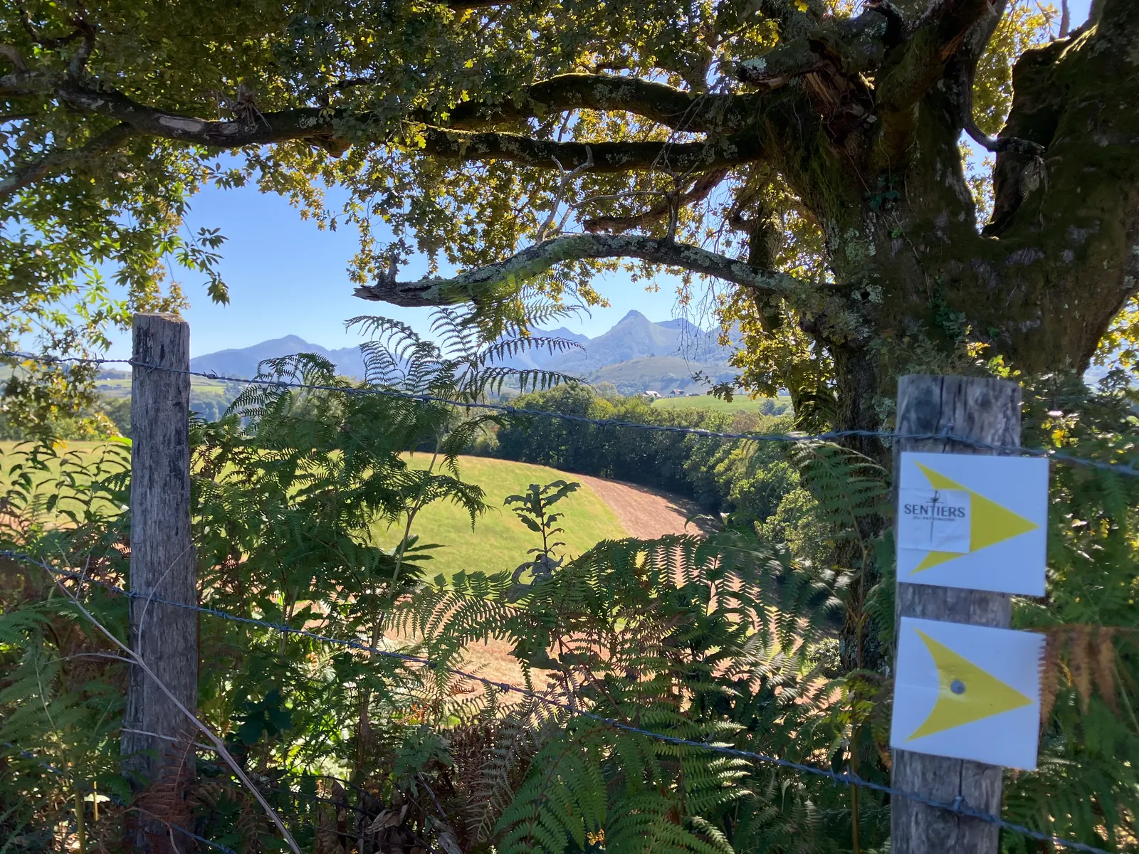 Balises jaunes et vue sur les sommets